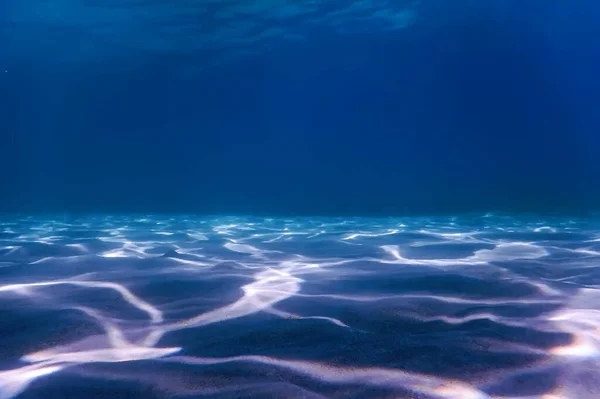 桑迪海底海洋生物 水下背景 — 图库照片