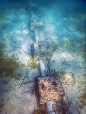 Su altı atık su borusu, çevre kirliliği deniz okyanusu.