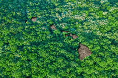 Hawaii 'nin sürdürülebilir yaşam alanı haritası, çevre konsepti