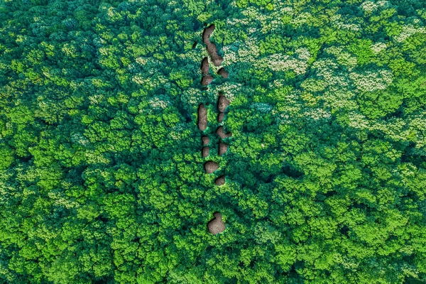 Habitat Sustentável Mapa Das Maldivas Conceito Ambiente — Fotografia de Stock