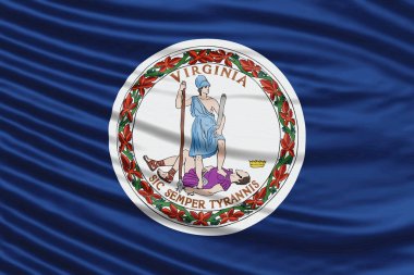 Virginia Eyaleti Bayrak Dalgası Kapatma, Virginia bayrağı arka planı