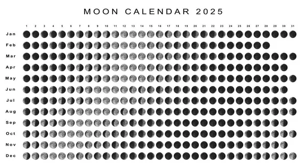 Місячний Календар 2025 Південна Півкуля Астрологічний Календар — стокове фото