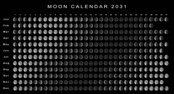 Moon Calendar 2031 Southern Hemisphere Astrological Calendar — Stock Photo, Image