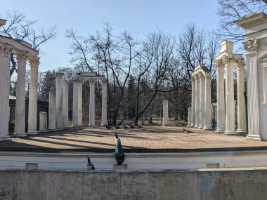 Eski harabelerdeki tavus kuşlarının manzarası