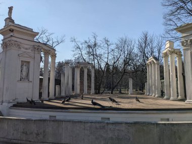 Eski harabelerdeki tavus kuşlarının manzarası