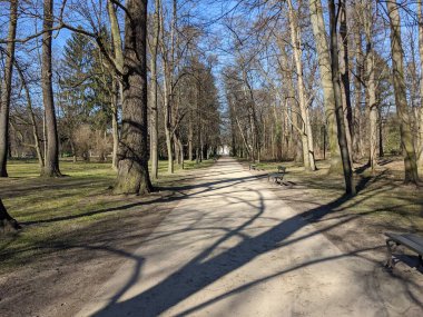 Parkın güzel manzarası