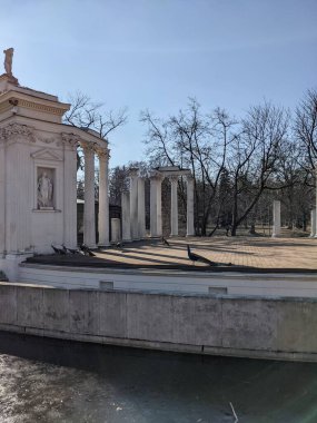 Eski harabelerdeki tavus kuşlarının manzarası