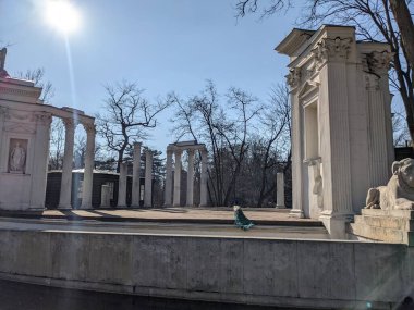 Eski harabelerdeki tavus kuşlarının manzarası