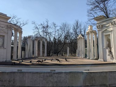 Eski harabelerdeki tavus kuşlarının manzarası