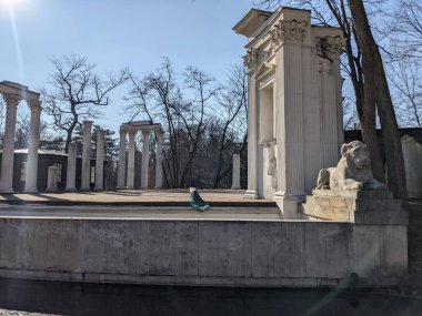 Eski harabelerdeki tavus kuşlarının manzarası