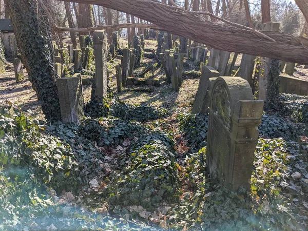 Starý Hřbitov Městě — Stock fotografie