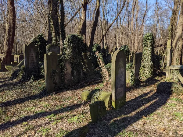 Vecchio Cimitero Della Città — Foto Stock