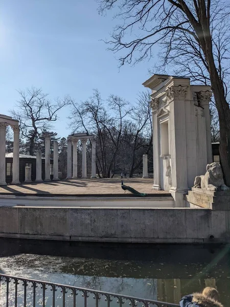 Eski harabelerdeki tavus kuşlarının manzarası