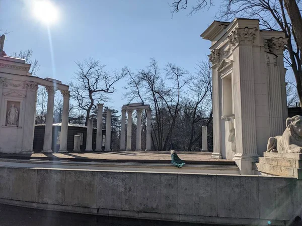 Eski harabelerdeki tavus kuşlarının manzarası