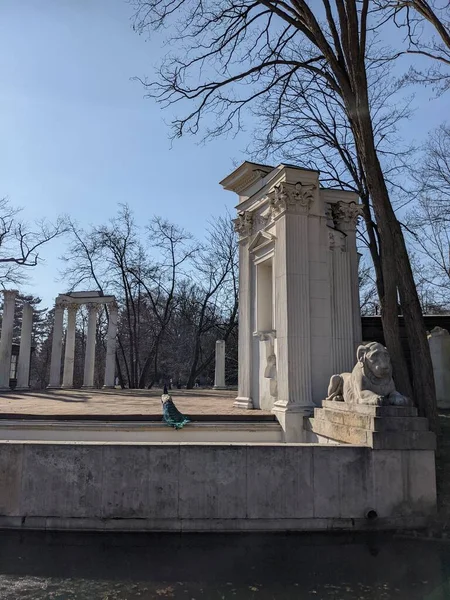 Eski harabelerdeki tavus kuşlarının manzarası