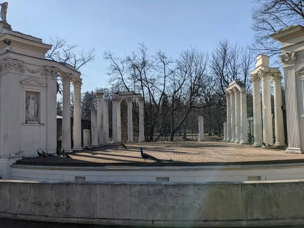 Eski harabelerdeki tavus kuşlarının manzarası