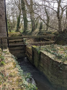 Mill Celtic, Millview, Kildare, Leinster, İrlanda