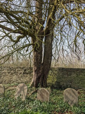 Ballitore Quaker Mezarlığı