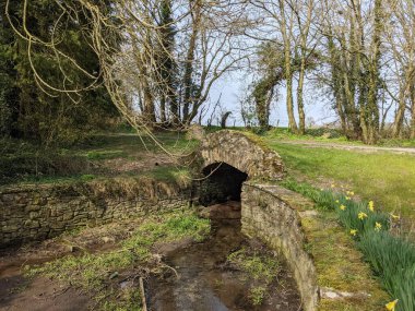 Mill Celtic, Millview, Kildare, Leinster, İrlanda