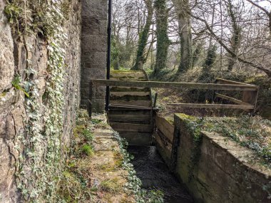 Mill Celtic, Millview, Kildare, Leinster, İrlanda