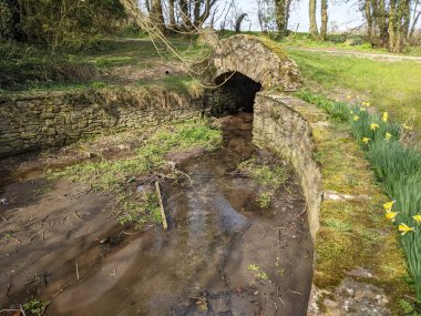 Mill Celtic, Millview, Kildare, Leinster, İrlanda