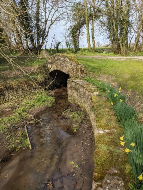 Mill Celtic, Millview, Kildare, Leinster, İrlanda