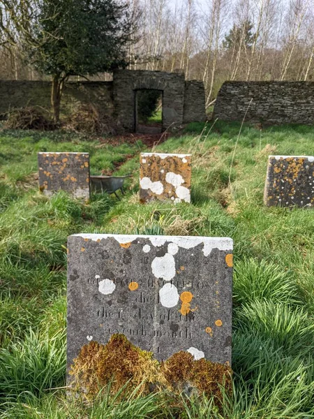 Ballitore Quaker Mezarlığı Kildare Lçesi Rlanda — Stok fotoğraf