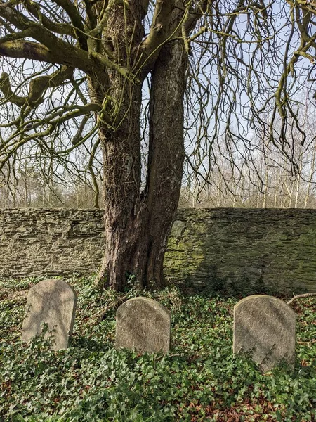 Ballitore Quaker Burial Ground — Stock Photo, Image
