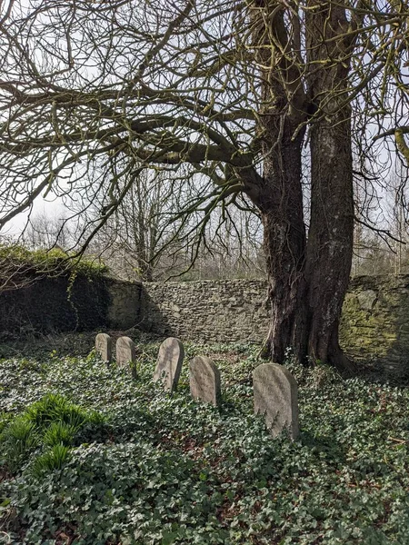 Ballitore Quaker Begraafplaats Conservatieve Protestantse Kerk — Stockfoto