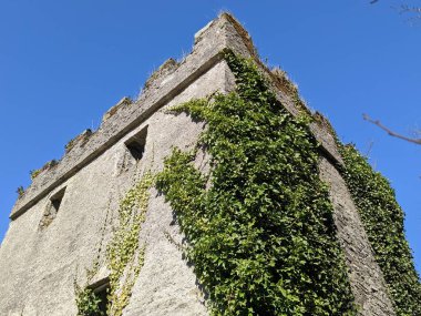 Antik Kale, Kildare, İrlanda