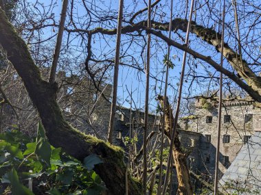 Antik Kale, Kildare, İrlanda