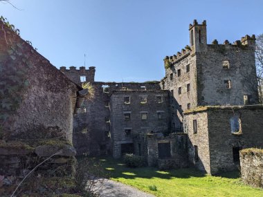Antik Kale, Kildare, İrlanda