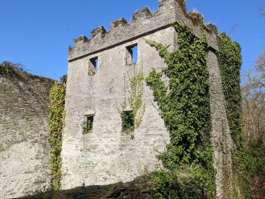 Antik Kale, Kildare, İrlanda