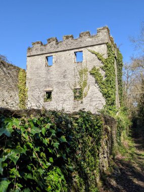 Antik Kale, Kildare, İrlanda