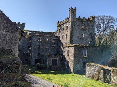 Antik Kale, Kildare, İrlanda