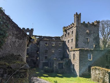 Antik Kale, Kildare, İrlanda