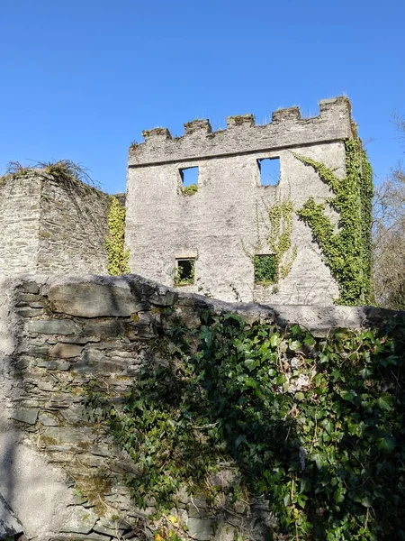 Ancient Castle Kildare Ireland — стоковое фото