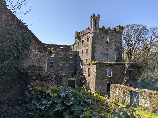 Ancient Castle Kildare Ierland — Stockfoto