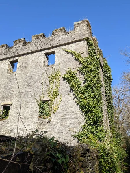 Ancient Castle Kildare Ireland — Stockfoto