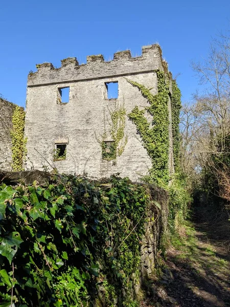 Ancient Castle Kildare Ireland — ストック写真