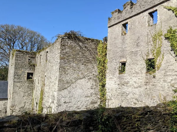 Castillo Antiguo Kildare Irlanda — Foto de Stock