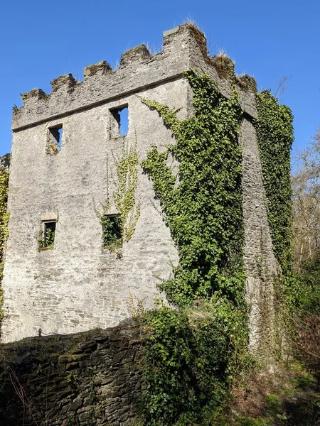 Ancient Castle Kildare Ireland —  Fotos de Stock