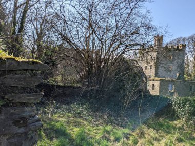 Antik Kale, Kildare, İrlanda