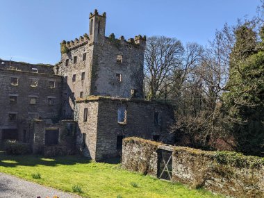 Antik Kale, Kildare, İrlanda