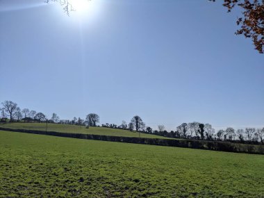 Baharda yeşil tarlaların ve gökyüzünün görüntüsü 