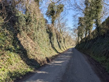 Yolun her iki tarafında ağaçlar olan kırsal bölgede yol. 