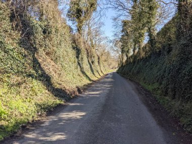 Kırsalda asfalt yolda, yolun iki tarafında da ağaçlar var.