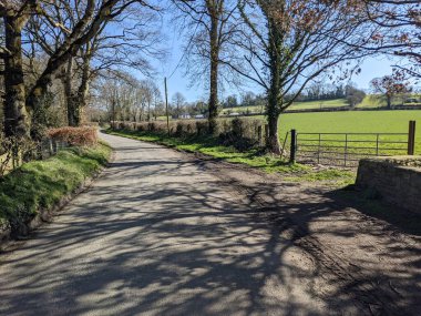 Kırsalda asfalt yolda, yolun iki tarafında da ağaçlar var.