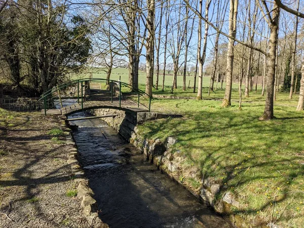 Patak Mentén Parkban Tavasszal — Stock Fotó