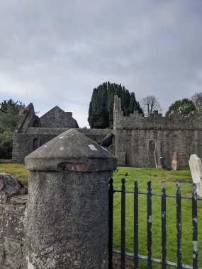 Taş bir sütunda oturan karga kuşu.